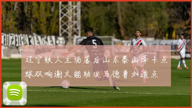 辽宁铁人主场落后山东泰山泽卡点球双响谢文能助攻马德鲁加造点